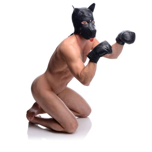 Strict Leather Padded Puppy Mitts - Image 5