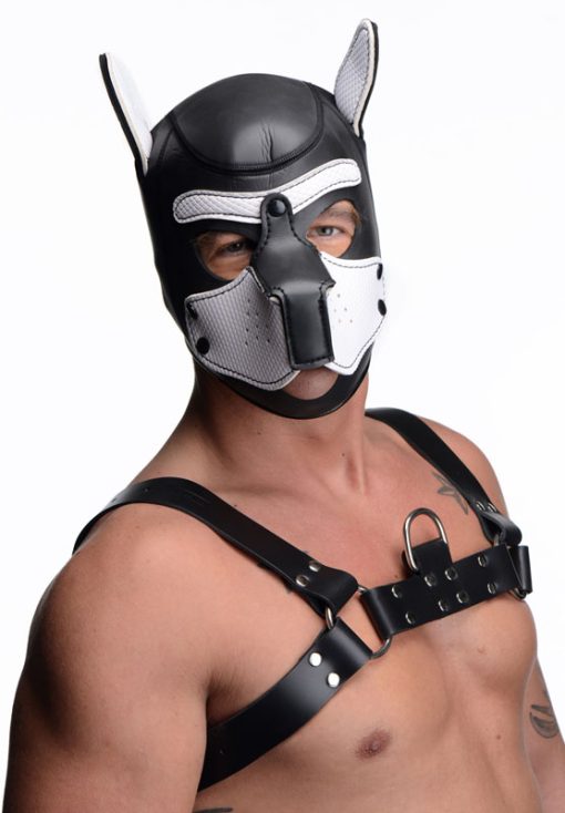 Spike Neoprene Puppy Hood - White - Image 2