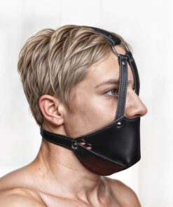 Mouth Harness with Ball Gag