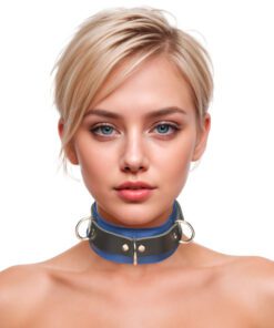 Strict Leather Deluxe Locking Collar - Blue and Black