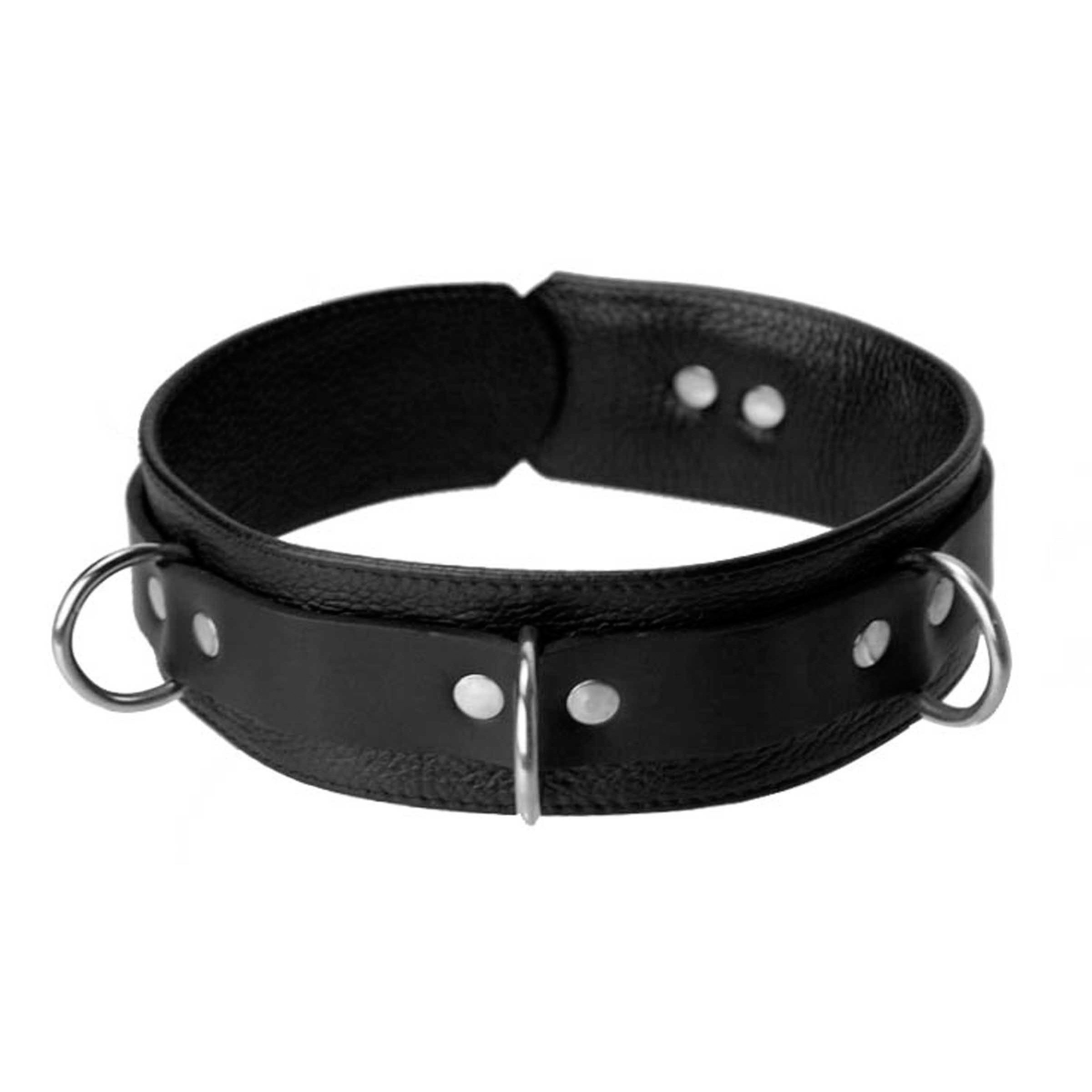Sick Puppy Leash and Collar Kit - Image 3