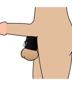 2 Inch Ball Stretcher with D-Ring