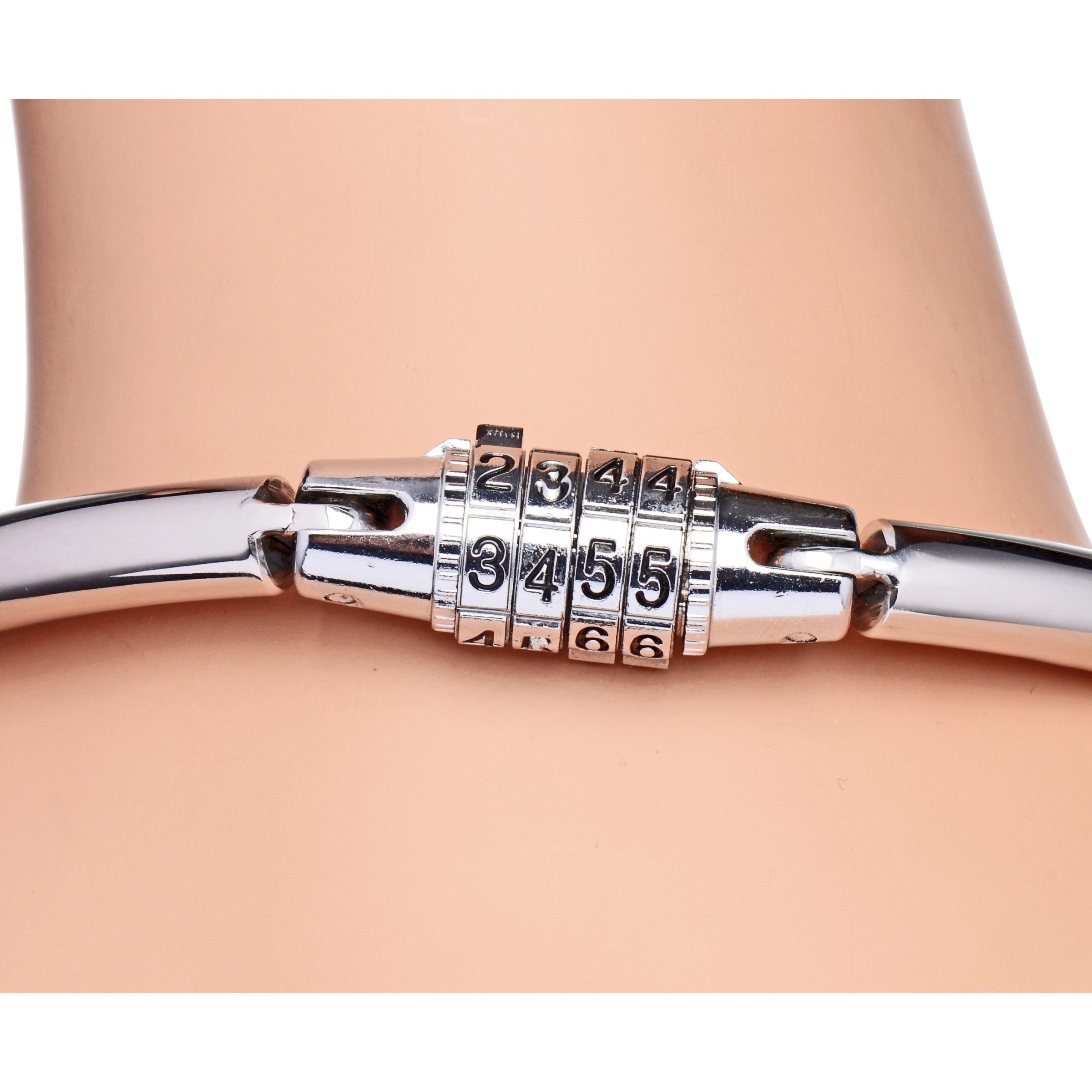 Stainless Steel Combination Lock Slave Collar - Image 2