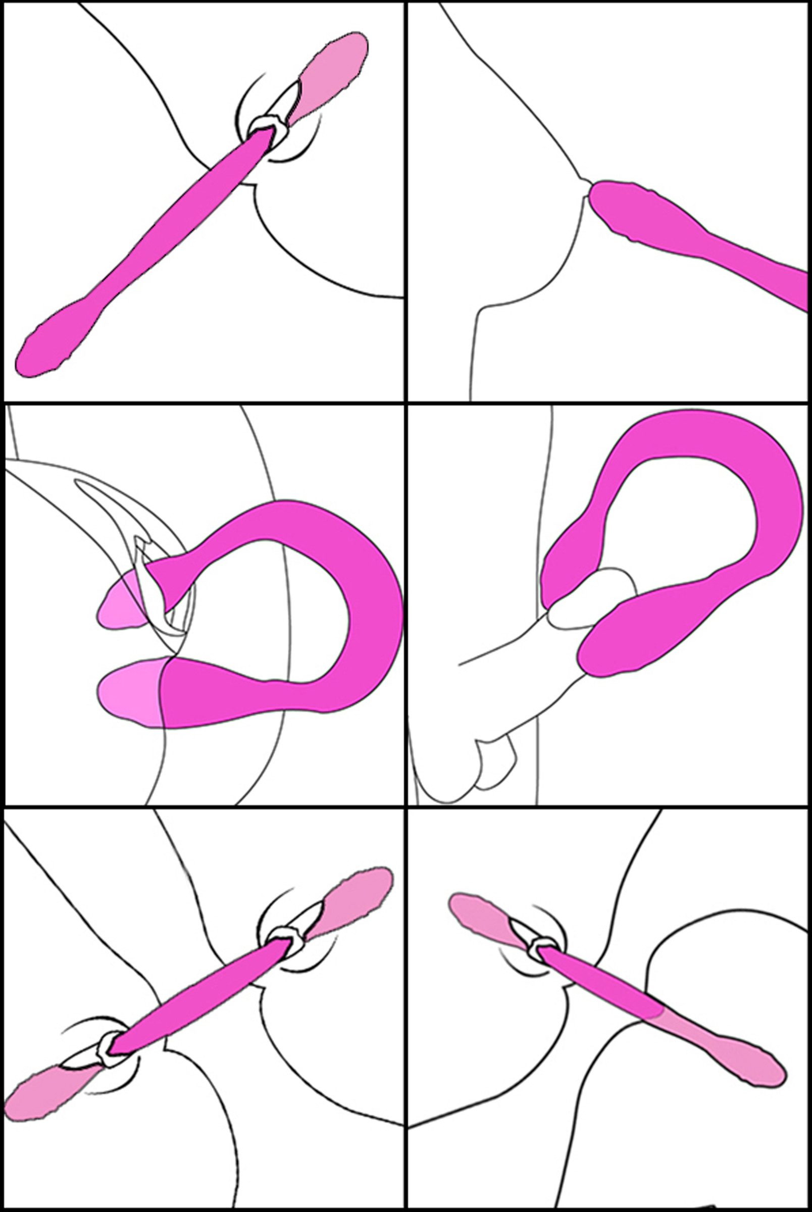 Double Thump 7x Rechargeable Silicone Double Dildo - Image 7