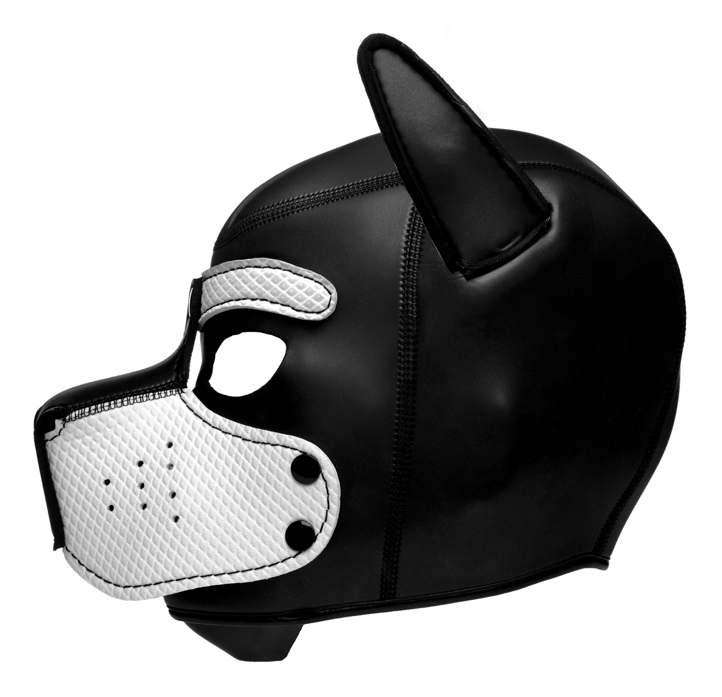 Spike Neoprene Puppy Hood - White - Image 3