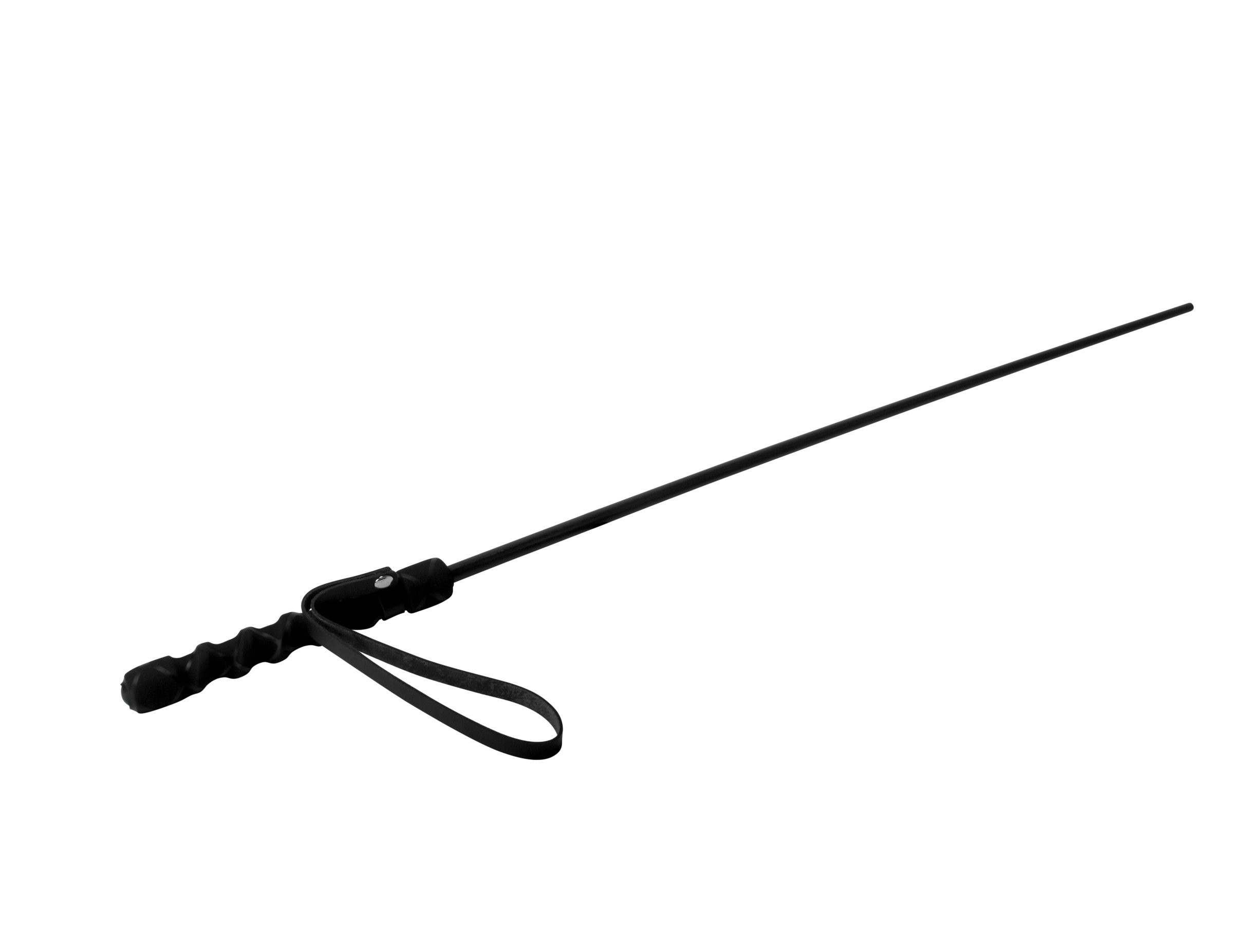 Isabella Sinclaire Intense Impact Cane - Image 2