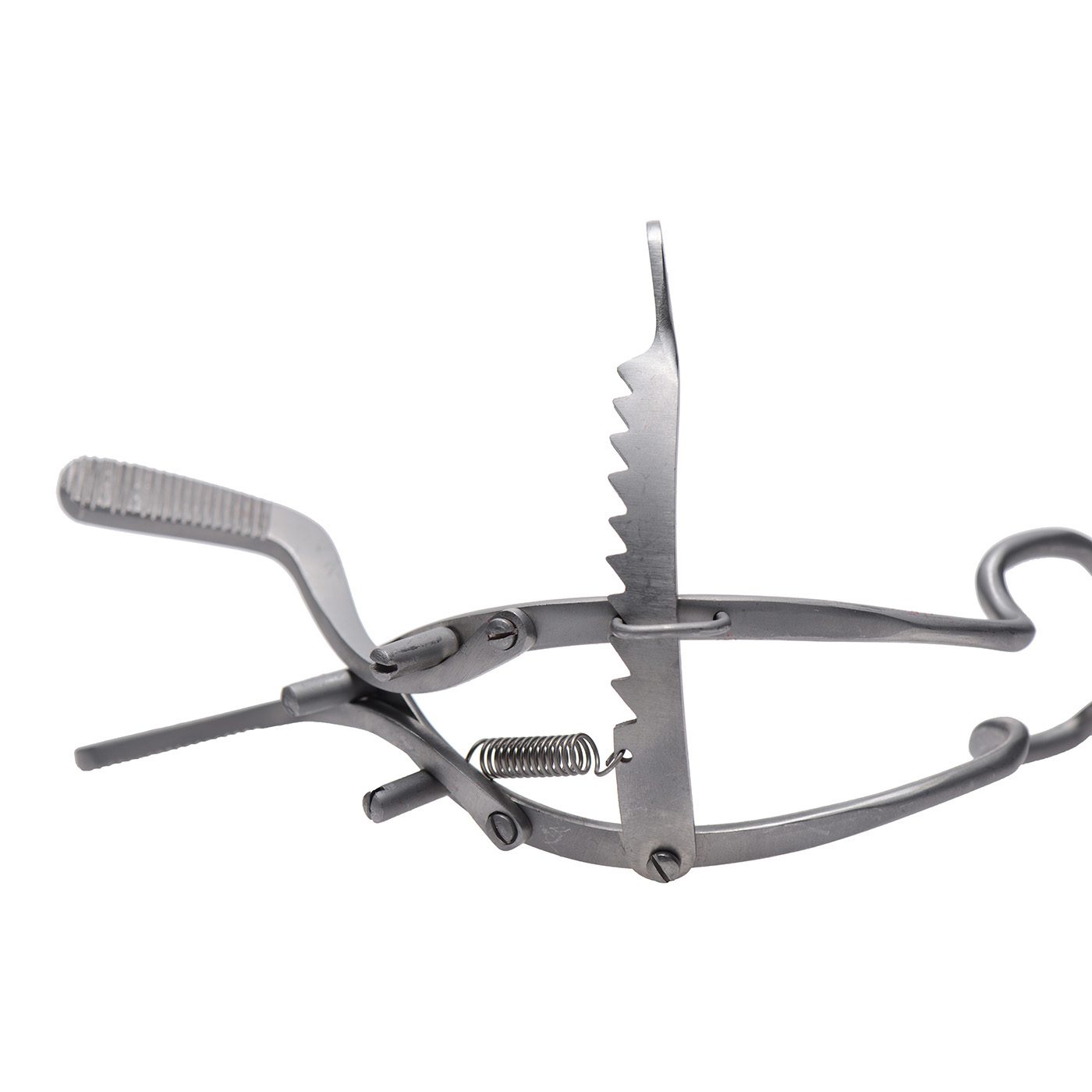 Whitehead Ratchet Mouth Gag - Image 3