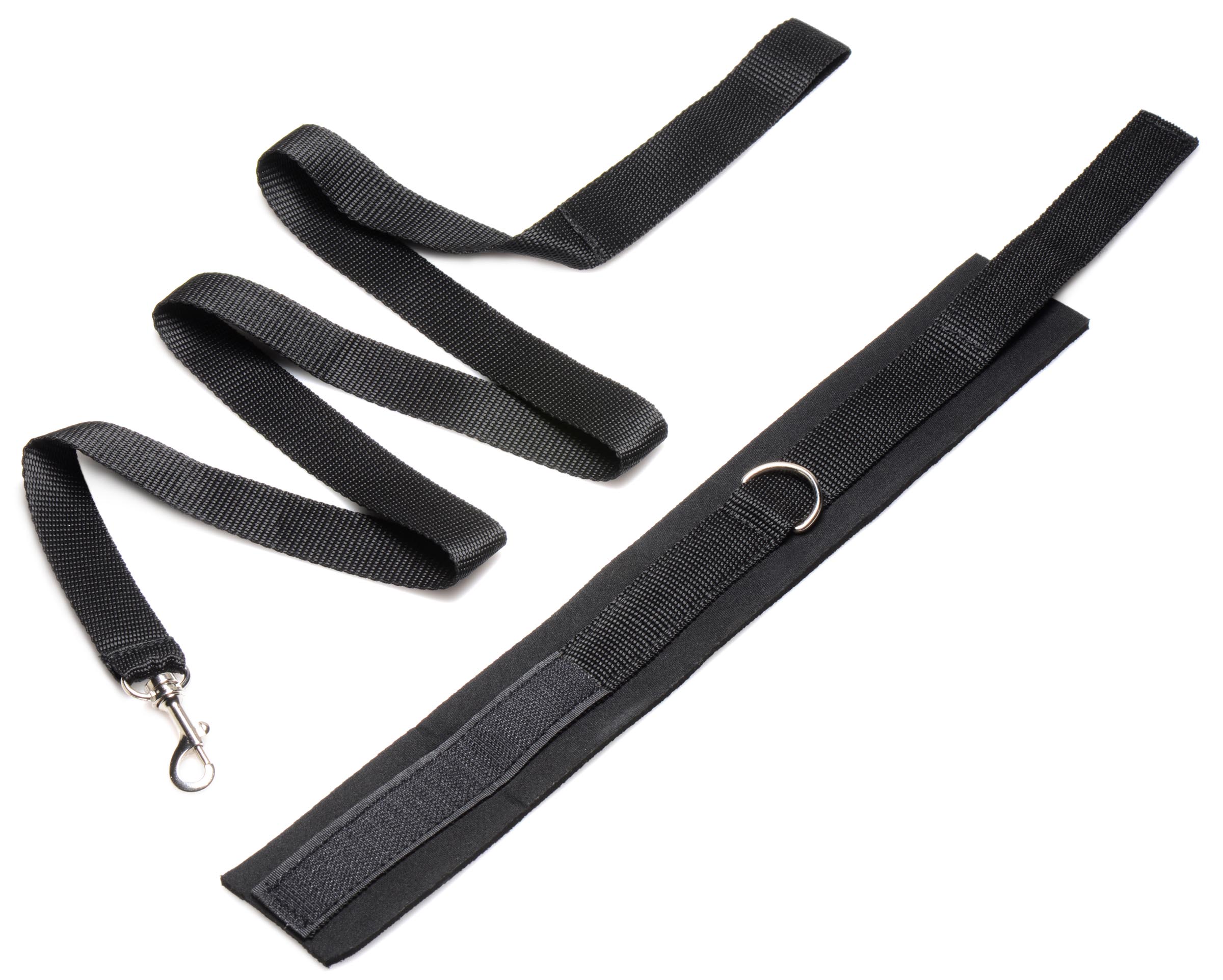 Frisky 46 Inch Leash and Collar Set - Image 4